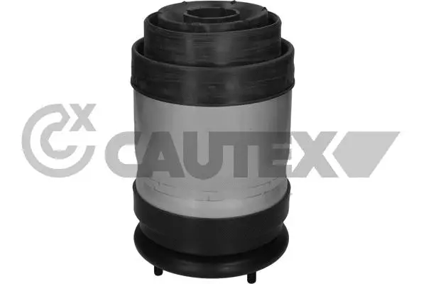 Air Spring, suspension (752888)