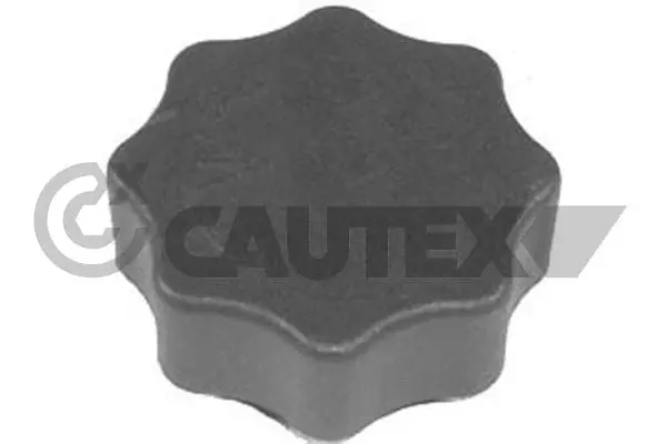Cap, coolant tank (756762)