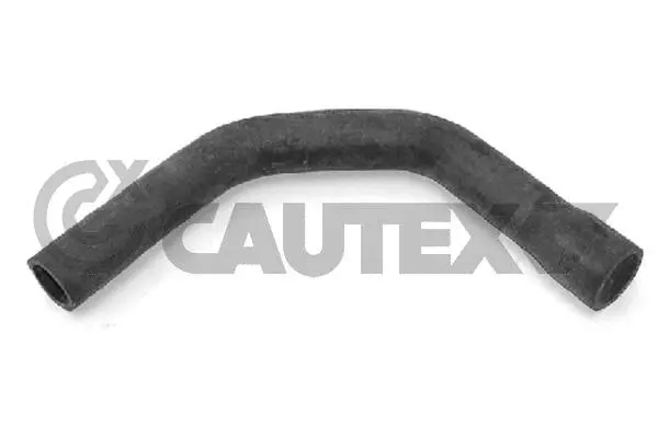 Radiator Hose (031184)