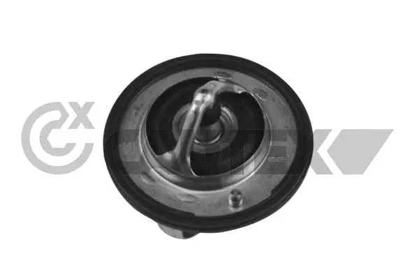 Thermostat, coolant (772163)