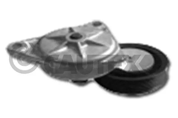 Tensioner Lever, V-ribbed belt (081111)
