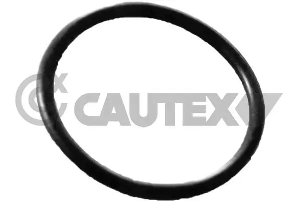 Gasket, coolant pipe (758563)