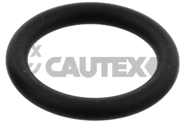 Gasket, coolant pipe (955245)