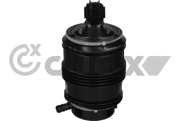 Air Spring, suspension (753142)