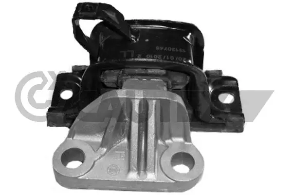 Mounting, engine (482531)