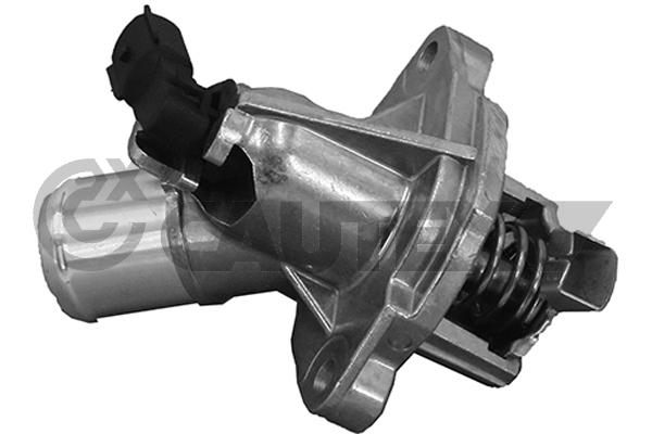 Thermostat, coolant (750797)