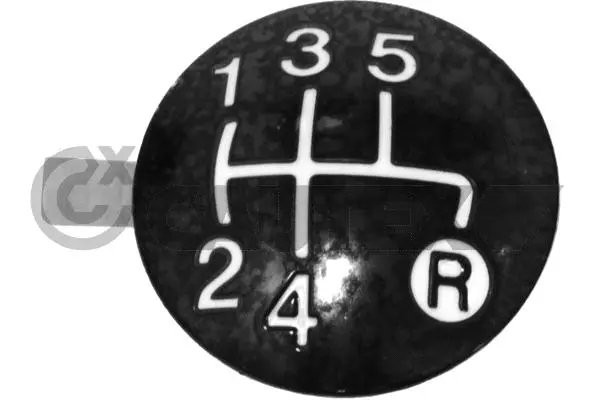 Gear Shift Lever Knob (770562)