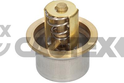 Thermostat, coolant (769136)