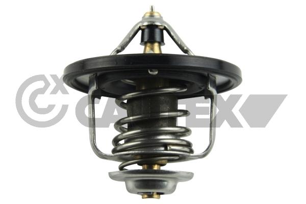 Thermostat, coolant (772132)