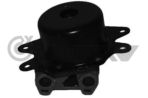 Mounting, engine (481078)