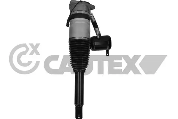 Air Suspension Strut (752014)