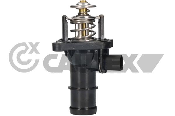 Thermostat, coolant (955489)