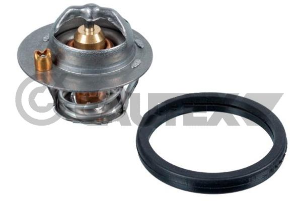 Thermostat, coolant (775511)