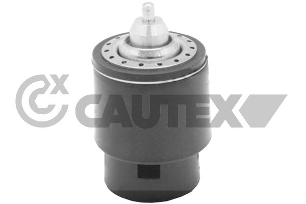Thermostat, coolant (774590)