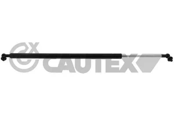 Gas Spring, rear window (773276)