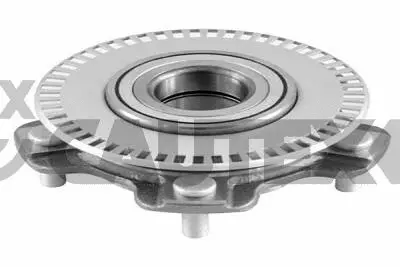 Wheel Hub (769462)
