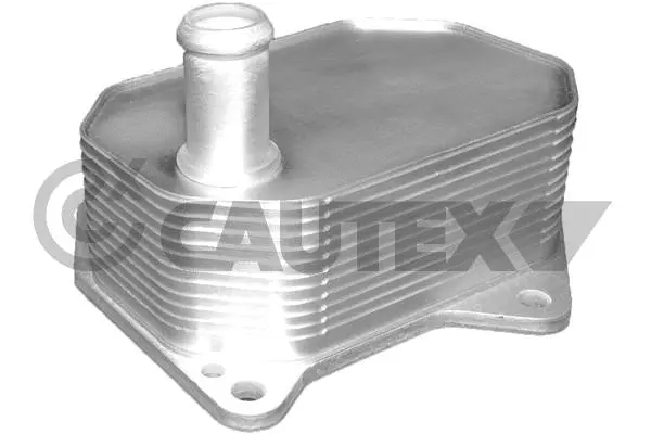 Oil Cooler, engine oil (081416)