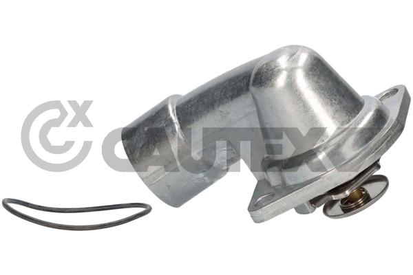 Thermostat, coolant (756864)