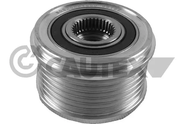 Alternator Freewheel Clutch (754698)