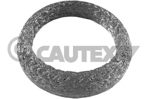 Seal Ring, exhaust pipe (954198)