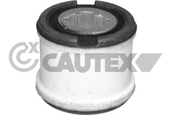 Mounting, engine (081107)