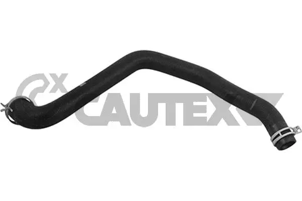 Radiator Hose (753854)