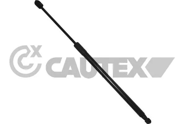 Gas Spring, boot/cargo area (760685)