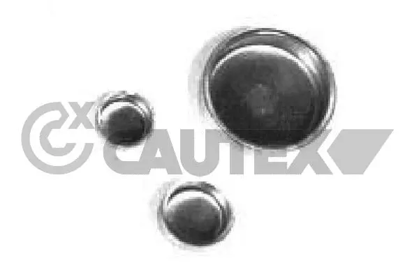 Frost Plug (950119)