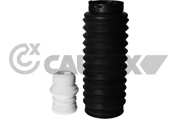 Dust Cover Kit, shock absorber (763247)