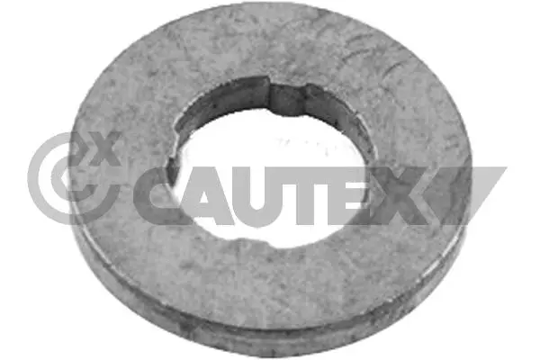 Heat Shield, injection system (769548)