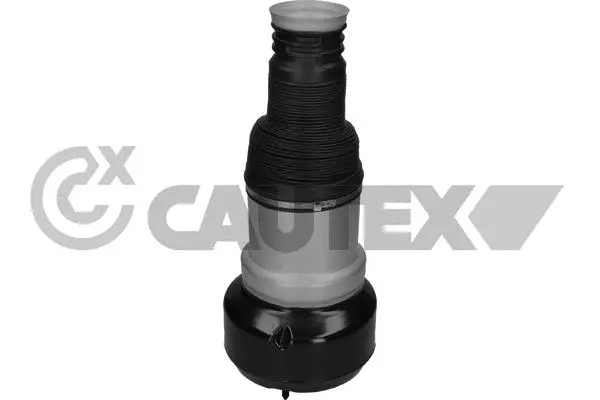 Air Spring, suspension (752903)