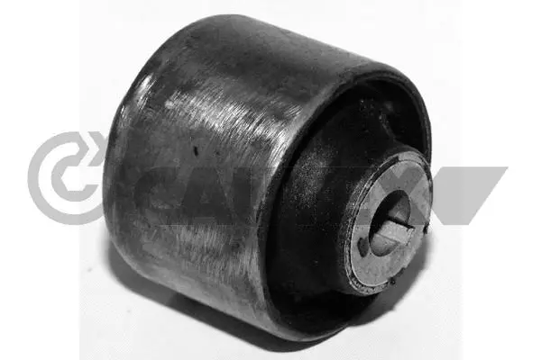Mounting, control/trailing arm (461156)