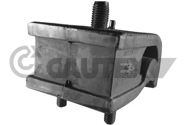Mounting, engine (460037)