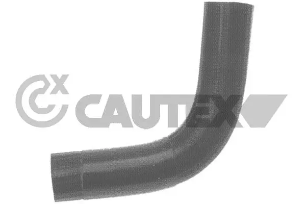 Radiator Hose (036111)
