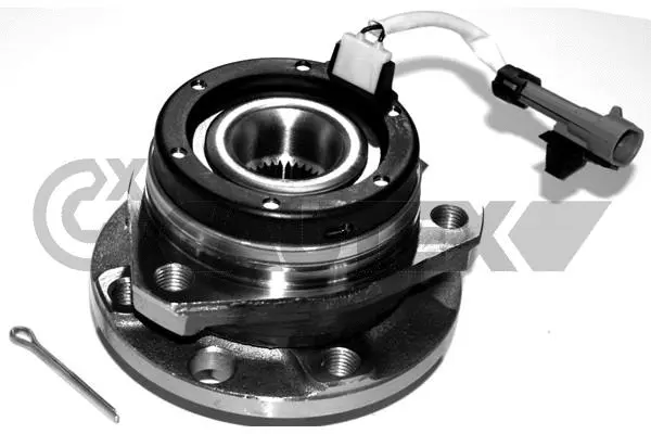 Wheel Bearing Kit (482550)