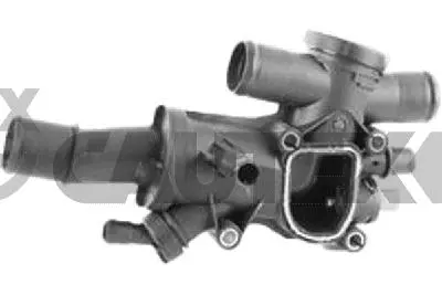 Thermostat, coolant (772542)