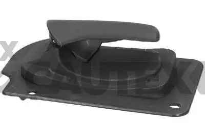 Exterior Door Handle (767735)