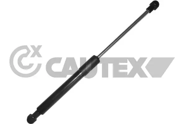 Gas Spring, bonnet (760684)