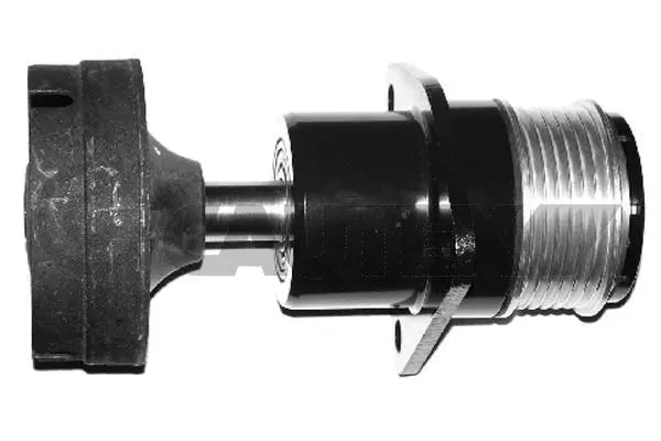 Belt Tensioner, V-ribbed belt (081124)