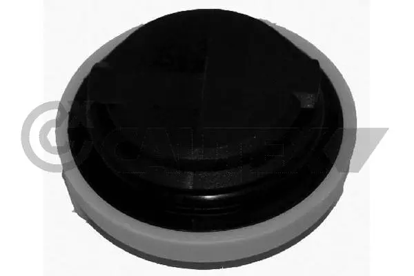 Sealing Cap, oil filler neck (481066)