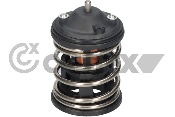 Thermostat, coolant (772473)