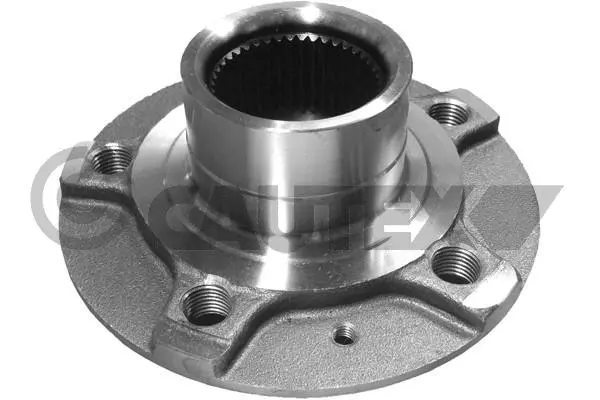 Wheel Hub (462555)