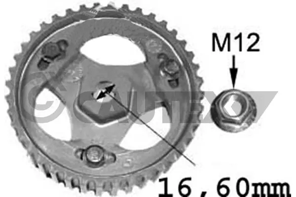 Gear, injection pump (021516)