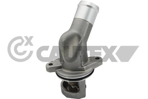 Thermostat, coolant (756697)