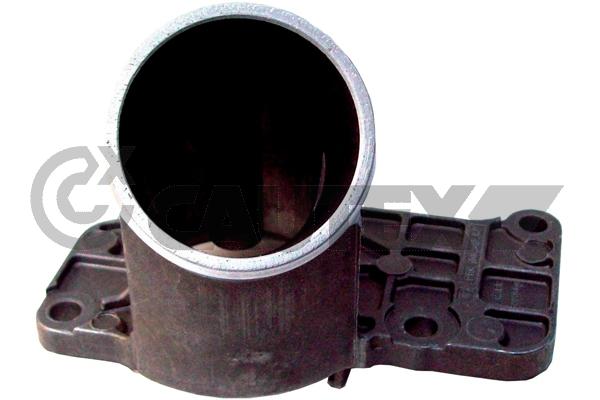 Thermostat, coolant (772649)