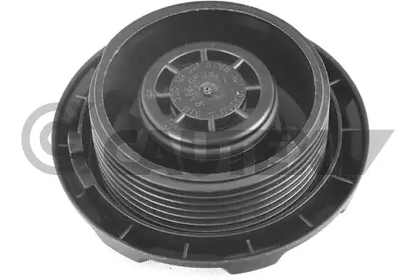 Cap, radiator (769897)