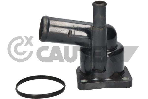 Thermostat, coolant (750824)