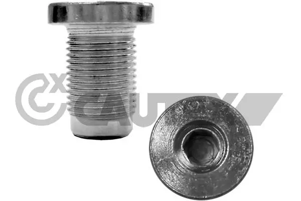 Screw Plug, oil sump (954212)