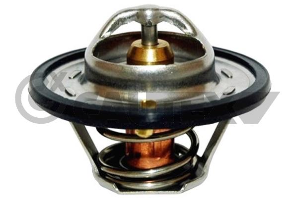 Thermostat, coolant (770833)