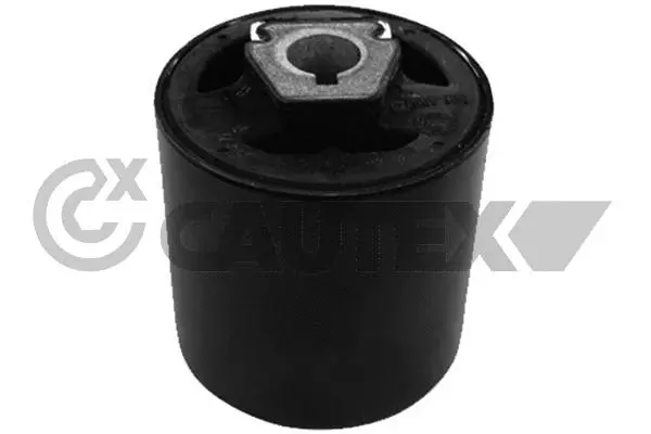 Mounting, control/trailing arm (755381)